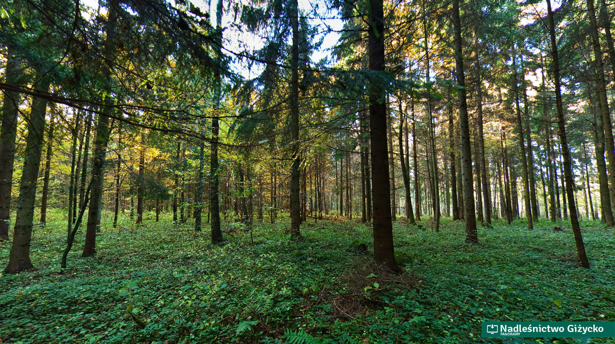 Sanktuarium Galindów.