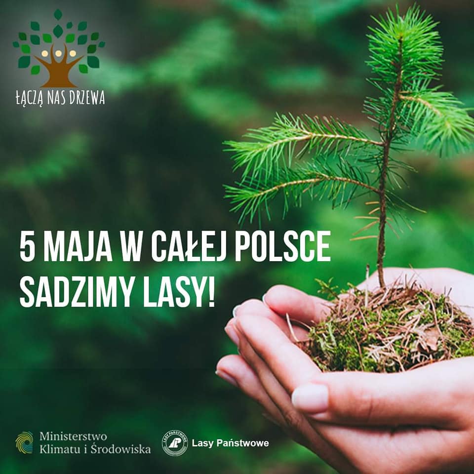 Plakat akcji „Łączą Nas Drzewa”
