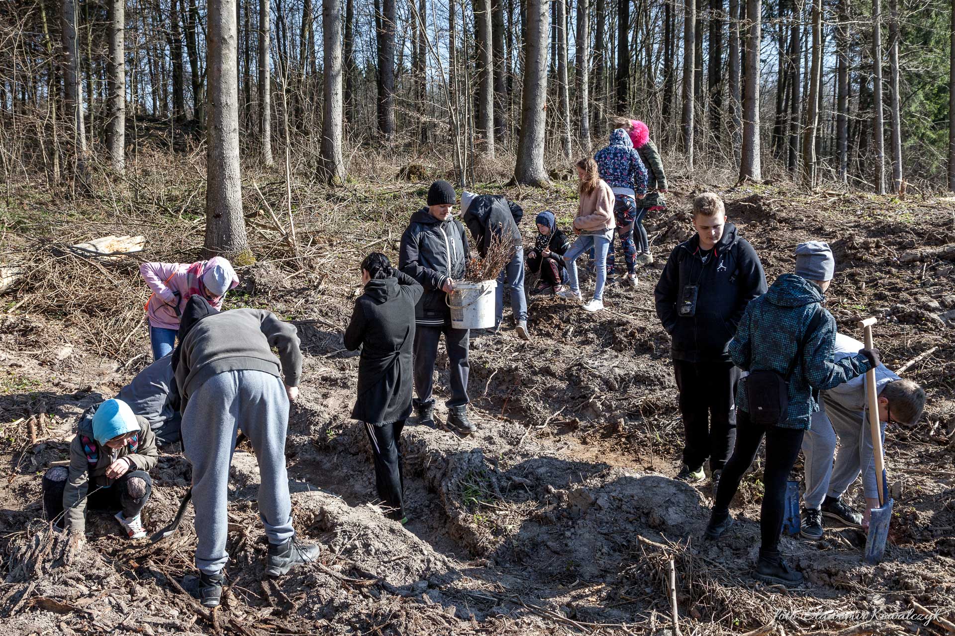 Fot. Ubiegłoroczne sadzenie lasu na terenie uroczyska Las Miejski.