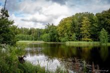 Zatrzymanie wody w Lesie Miejskim – działania leśników na rzecz klimatu