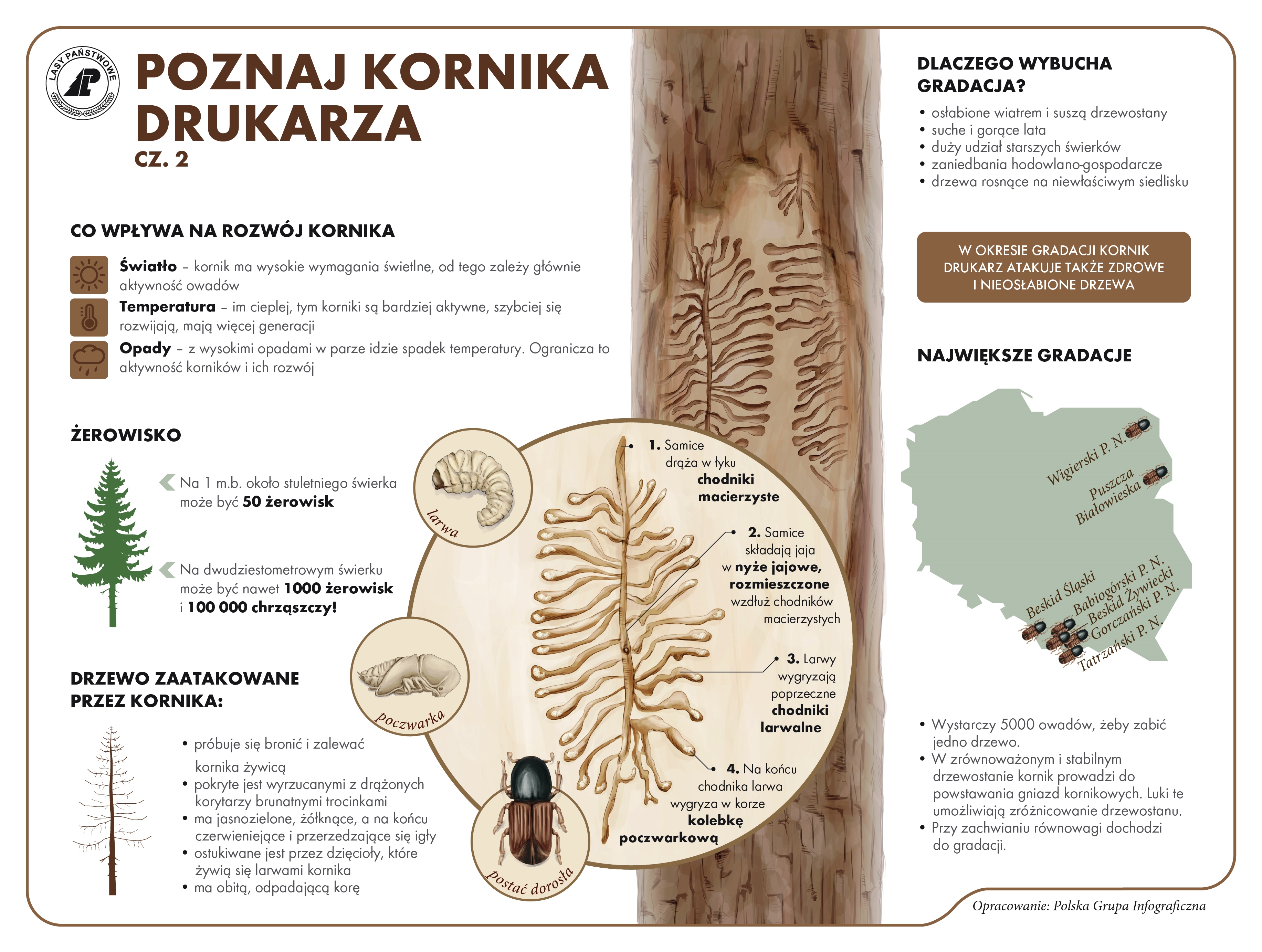 Karta informacyjna poznaj kornicza drukarza cz. 2.