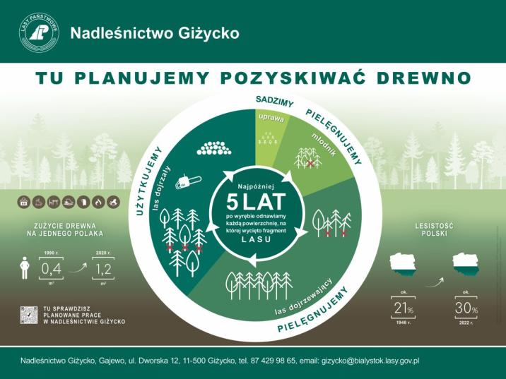 Tablica&#x20;informacyjna&#x20;Nadleśnictwa&#x20;Giżycko&#x20;przedstawia&#x20;cykl&#x20;życia&#x20;lasu&#x3a;&#x20;sadzenie&#x2c;&#x20;pielęgnowanie&#x20;i&#x20;użytkowanie&#x2e;&#x20;Najpóźniej&#x20;5&#x20;lat&#x20;po&#x20;wycince&#x20;odnawiana&#x20;jest&#x20;każda&#x20;powierzchnia&#x2e;&#x20;Zużycie&#x20;drewna&#x20;na&#x20;jednego&#x20;Polaka&#x20;w&#x20;1990&#x20;roku&#x20;wynosiło&#x20;0&#x2c;4&#x20;m³&#x2c;&#x20;a&#x20;w&#x20;2020&#x20;roku&#x20;1&#x2c;2&#x20;m³&#x2e;&#x20;Lesistość&#x20;Polski&#x20;wzrosła&#x20;z&#x20;21&#x25;&#x20;w&#x20;1946&#x20;roku&#x20;do&#x20;30&#x25;&#x20;w&#x20;2022&#x20;roku&#x2e;&#x20;Na&#x20;dole&#x20;podano&#x20;kontakt&#x20;do&#x20;Nadleśnictwa&#x2e;&#x20;Znajduje&#x20;się&#x20;także&#x20;kod&#x20;QR&#x20;do&#x20;sprawdzania&#x20;planowanych&#x20;prac&#x20;leśnych&#x2e;