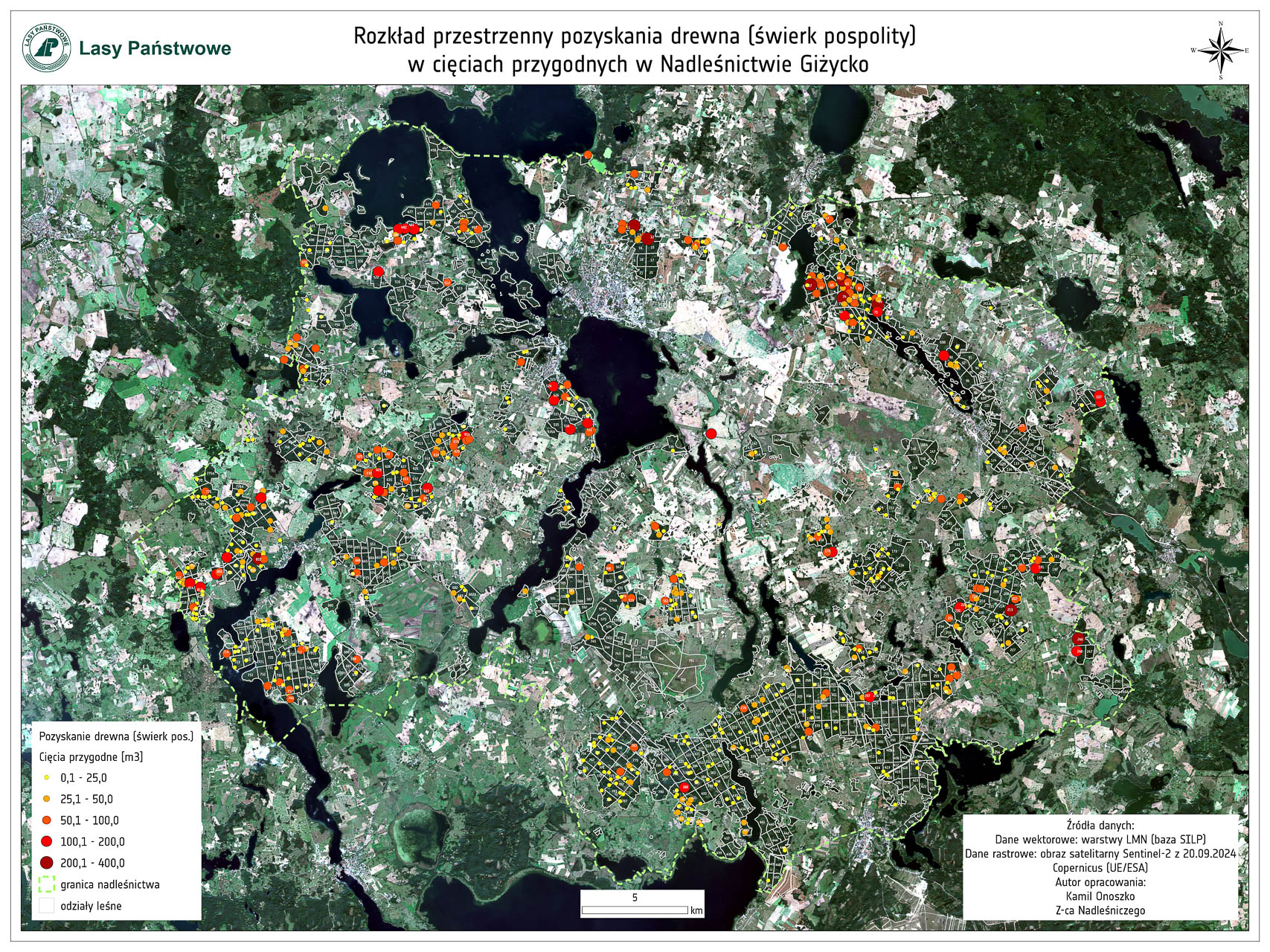 Rozkład przestrzenny pozyskania drewna (świerk pospolity) w cieciach przygodnych w Nadleśnictwie Giżycko