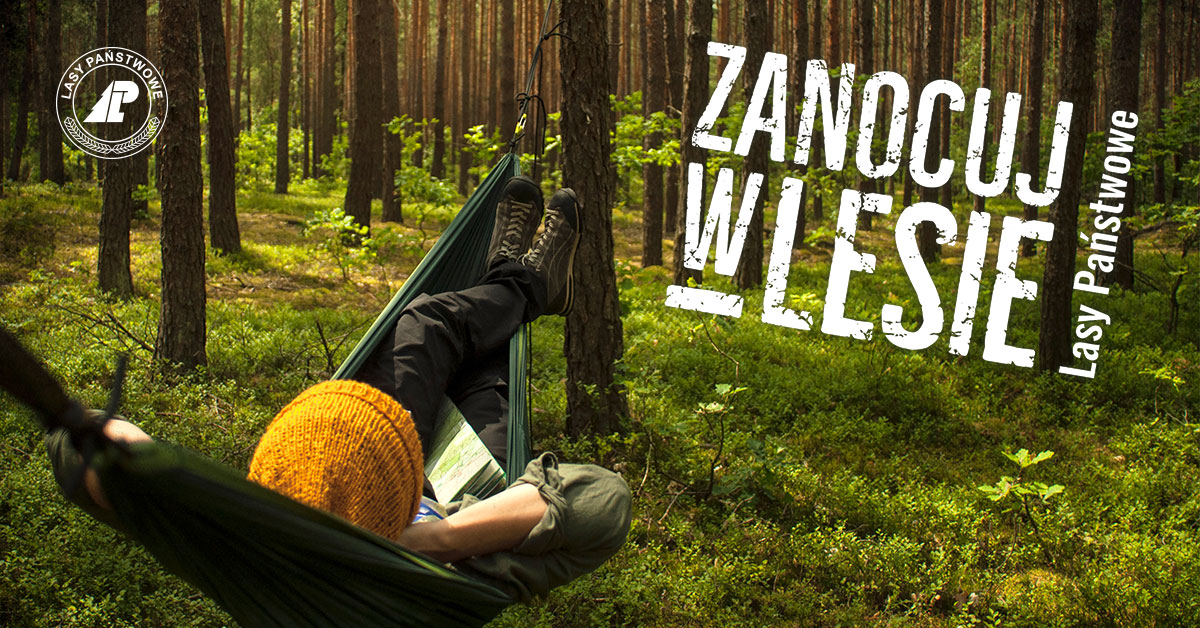 Banner - Zanocuj w lesie.