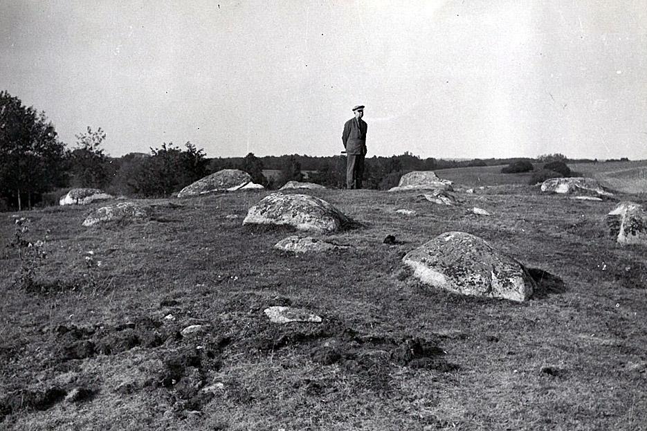 Fragment rezerwatu "Głazowisko Fuledzki Róg". Fot. Wacław Radzinowicz rok.1965.