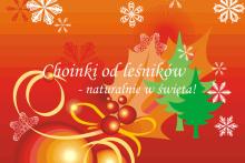 18.12.2013 - Choinki od leśników – naturalnie w święta!