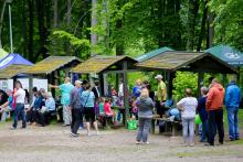 31.05.2015 - Piknik rodzinny w Lesie Miejskim