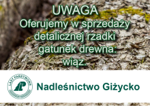 Oferujemy w sprzedaży detalicznej wiąz