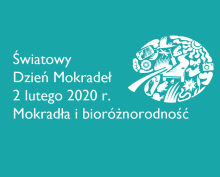 Światowy Dzień Mokradeł