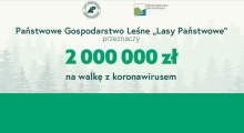 Lasy Państwowe przeznaczą dwa miliony złotych na walkę z epidemią