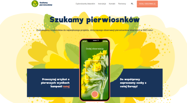 Szukamy&#x20;pierwiosnków&#x20;-&#x20;kampania&#x20;informacyjna&#x2e;