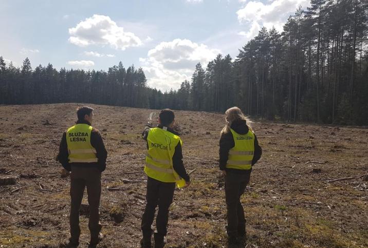 Audyt&#x20;FSC&#x2c;&#x20;wizja&#x20;terenowa&#x2c;&#x20;fot&#x2e;&#x20;Ewelina&#x20;Szklarzewska