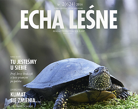 Echa&#x20;Leśne&#x20;2&#x2f;2016