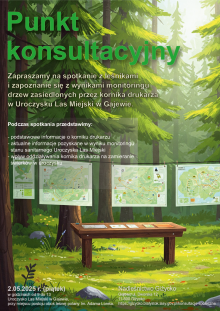 Punkt konsultacyjny