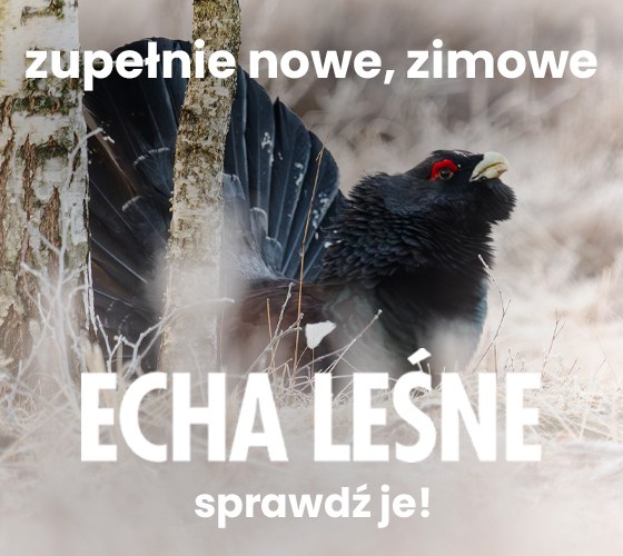 ZIMOWY NUMER ECH LEŚNYCH