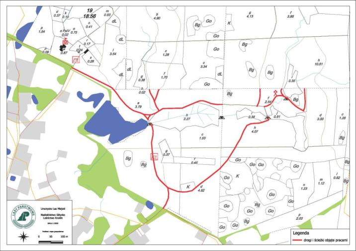 Mapa szlaków komunikacyjnych w Uroczysku Las Miejski objętych przeglądem drzewostanów.