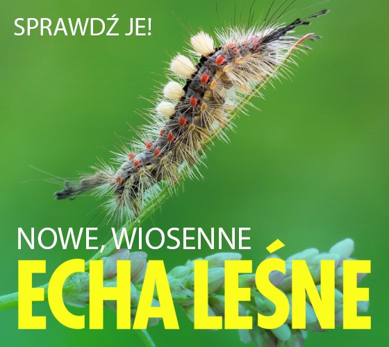 WIOSNENNY NUMER ECH LEŚNYCH